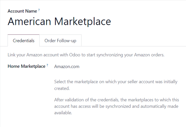 A typical Amazon Account form page in the erpsys Sales application.