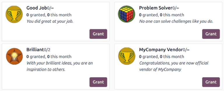 View of the badges page in erpsys.