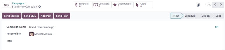 View of the campaign form in erpsys Email Marketing.