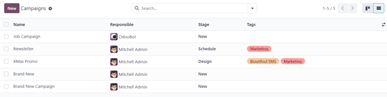 View of the campaign page in list view in erpsys Email Marketing.