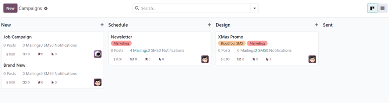 View of the campaign page in erpsys Email Marketing.