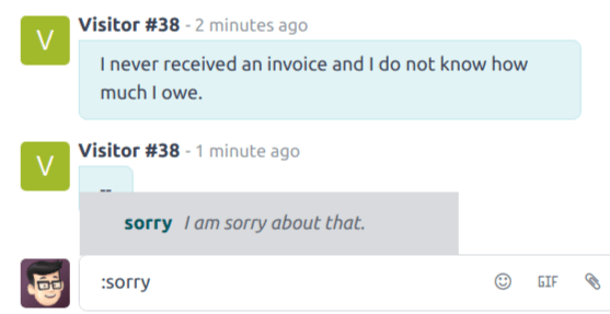 View of a chat window and the use of a canned response in Erpsys Live Chat.