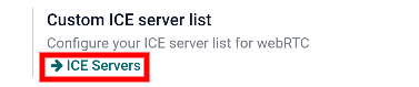 The "ICE Servers" button in erpsys General Settings.