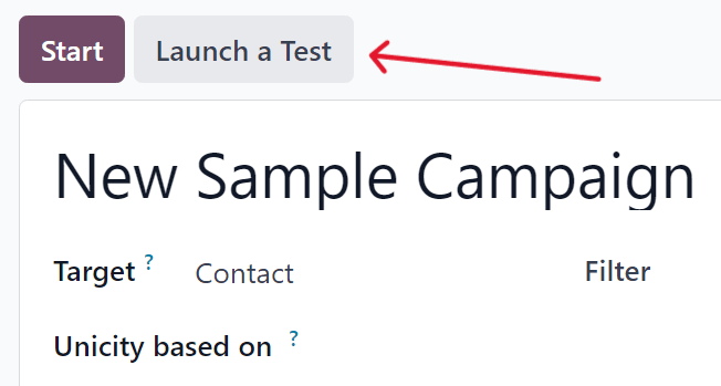 Launch a test button on a campaign detail form in erpsys Marketing Automation.