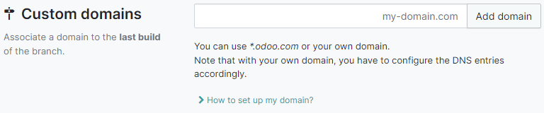Mapping a domain name to an Erpsys.sh branch