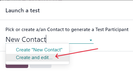 Typing in a new contact directly from the launch a test pop-up window in erpsys.