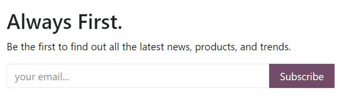 Sample of how a newsletter block appears on an erpsys Website.