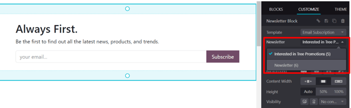 The newsletter drop-down menu in the customize sidebar that appears in erpsys Website.
