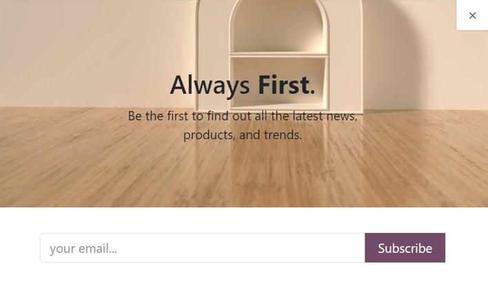 Sample of how a newsletter popup block appears on an erpsys Website.