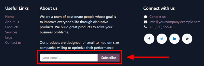 Sample of how a newsletter block appears on an erpsys Website.