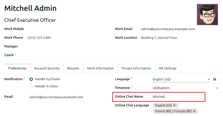 View of user profile in Erpsys, emphasizing the Online Chat name field.