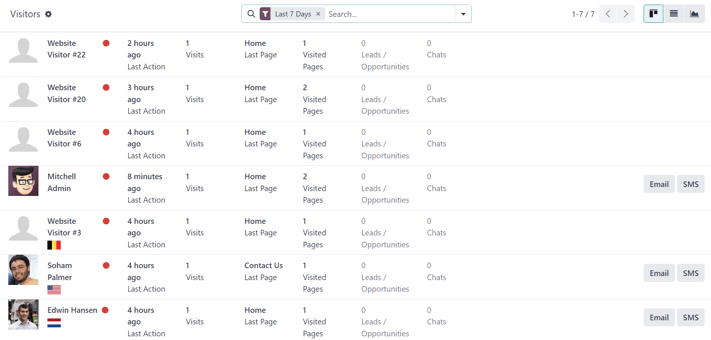 View of the Visitors page in the erpsys Social Marketing application.